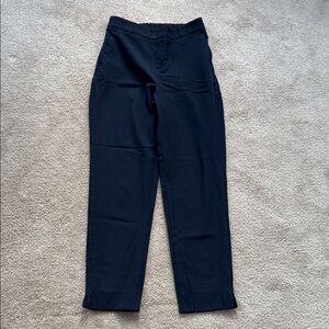 Banana Republic Outlet Hayden Navy Pant
